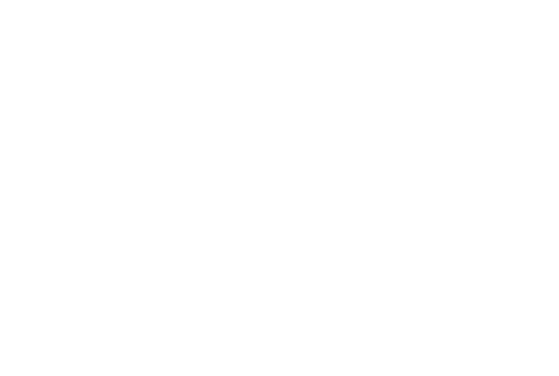 Simba Logistics